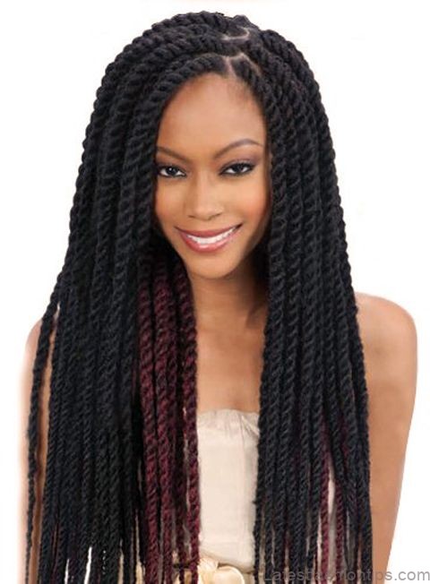 20 thrilling twist braids style to try this season