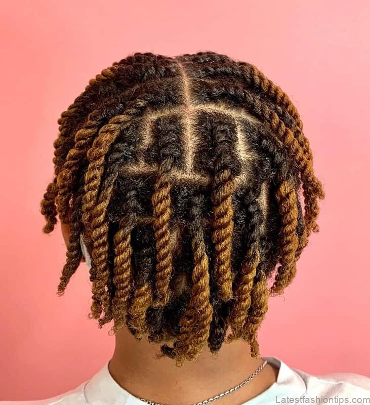 20 thrilling twist braids style to try this season 12